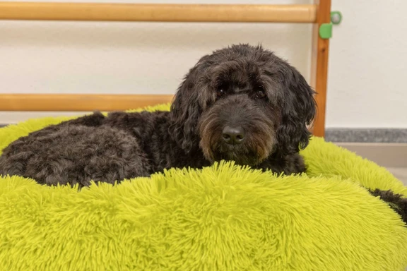 Slider Image 6
